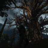 19ae82ede2636-cd20E6A740FBBDDDBE4.6E520923A9663D57_message_451796942789130_1764831807770