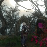 19ae9a483b571-cd20E6A740FBBDDDBE4.6E520923A9663D57_message_451803135551526_1764855998248