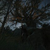 19ae9a6219c54-cd20E6A740FBBDDDBE4.6E520923A9663D57_message_451803175034722_1764856152479