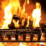 ezgif-7ceec280704997dc