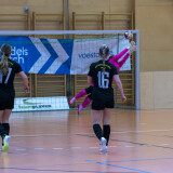 abhc_03_06-01-2026-002