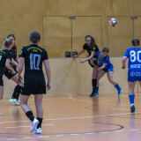 abhc_03_06-01-2026-004