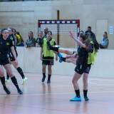 abhc_03_06-01-2026-033