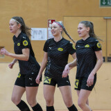 abhc_03_06-01-2026-114