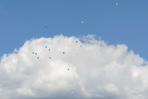 lask nebelberg (c) 3 0 11 06 2022 011.jpg