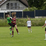 perg-aschach_1-1_29-05-2022_22