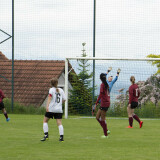 perg-aschach_1-1_29-05-2022_45