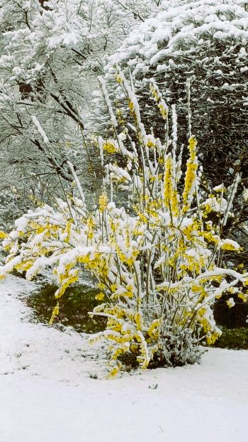 20260326_080410.jpg