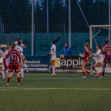 wallern-ottensheim_2-1_10-04-2026-040