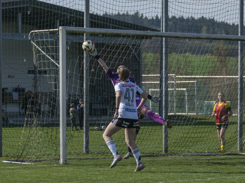 niederthalheim-lask_2-1_04-2026-55.jpg