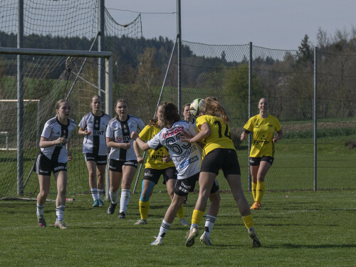 niederthalheim-lask_2-1_04-2026-58.jpg