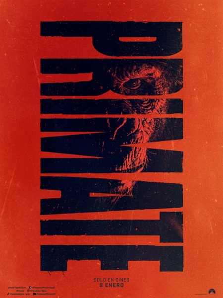 primate.jpg