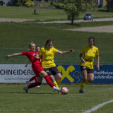 dorf-niederthalheim_0-3_02-05-2026-003