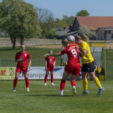 dorf-niederthalheim_0-3_02-05-2026-007