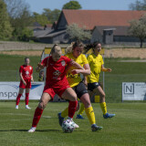 dorf-niederthalheim_0-3_02-05-2026-008