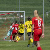 dorf-niederthalheim_0-3_02-05-2026-010