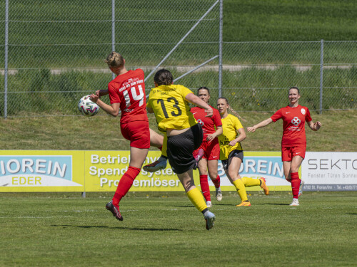dorf-niederthalheim_0-3_02-05-2026-011.jpg