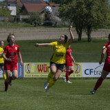 dorf-niederthalheim_0-3_02-05-2026-017