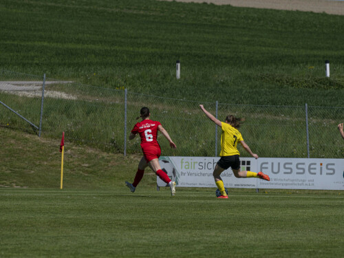 dorf-niederthalheim_0-3_02-05-2026-019.jpg
