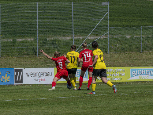 dorf-niederthalheim_0-3_02-05-2026-031.jpg