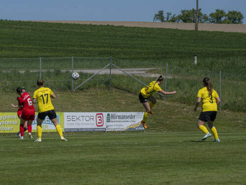 dorf-niederthalheim_0-3_02-05-2026-032.jpg