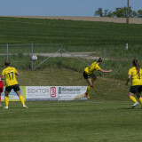 dorf-niederthalheim_0-3_02-05-2026-032