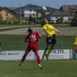 dorf-niederthalheim_0-3_02-05-2026-036