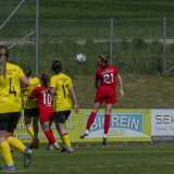dorf-niederthalheim_0-3_02-05-2026-037