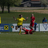 dorf-niederthalheim_0-3_02-05-2026-038