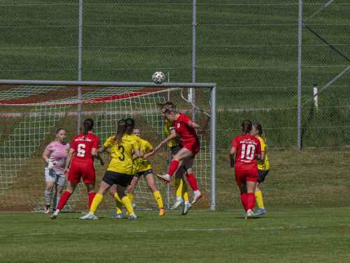 dorf-niederthalheim_0-3_02-05-2026-042.jpg