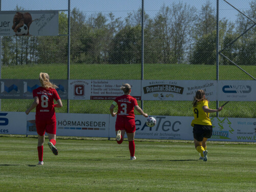dorf-niederthalheim_0-3_02-05-2026-045.jpg