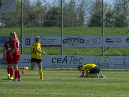 dorf-niederthalheim_0-3_02-05-2026-050.jpg