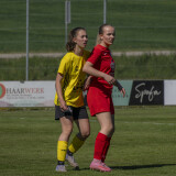 dorf-niederthalheim_0-3_02-05-2026-072