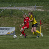 dorf-niederthalheim_0-3_02-05-2026-078