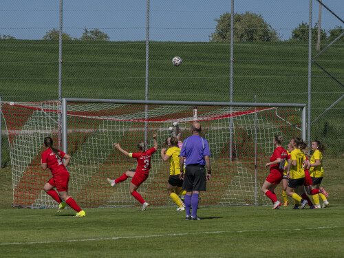 dorf-niederthalheim_0-3_02-05-2026-082.jpg