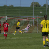 dorf-niederthalheim_0-3_02-05-2026-085