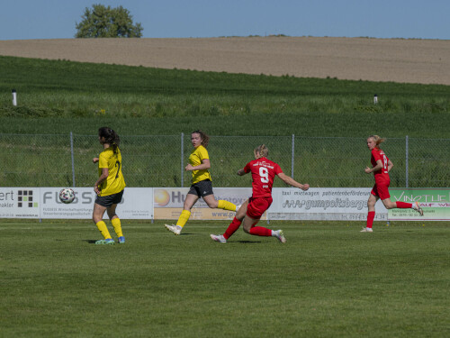 dorf-niederthalheim_0-3_02-05-2026-086.jpg