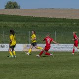 dorf-niederthalheim_0-3_02-05-2026-086