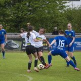 hellmonsoedt-haidershofen_5-0_17-05-2026-19