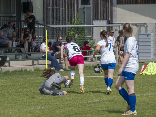 mhl_abschussturnier_ebelsberg_20-06-2026-037.jpg