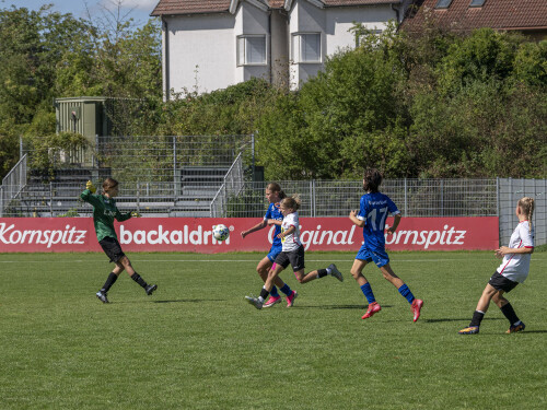 u14_blnm_ooe-vbg_5-0_-29-08-2026-145.jpg