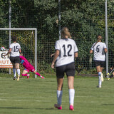 niederthalheim_1b-peuerbach_1b_3-1_30-08-2026-06