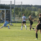 niederthalheim_1b-peuerbach_1b_3-1_30-08-2026-22
