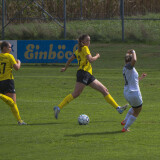 dorf-niederthalheim_2-2_05-09-2026-05