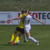 dorf-niederthalheim_2-2_05-09-2026-17