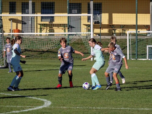 perg_u11a-perg_u11b_0-1_04-09-2026-52.jpg