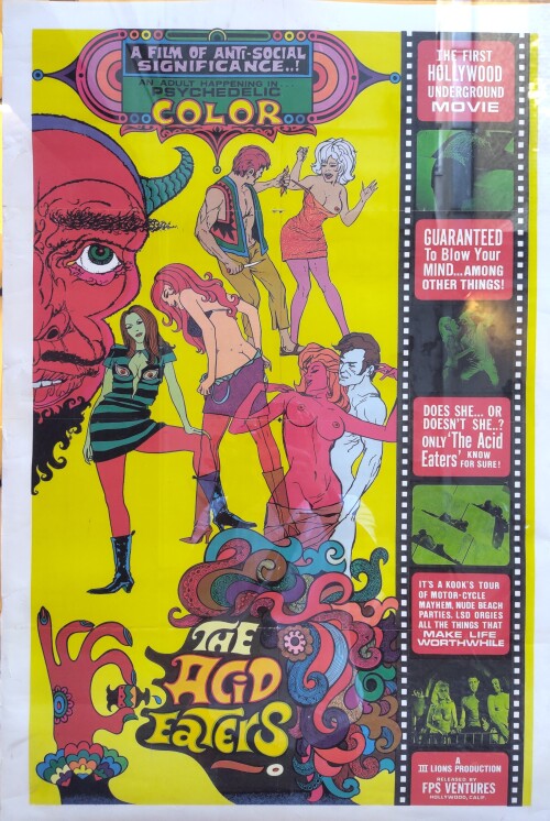 The acid eaters movie poster