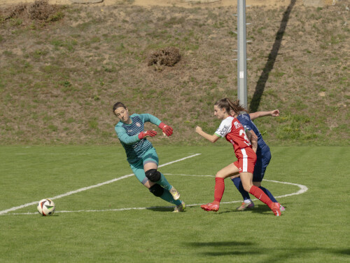 nebelberg-steyr_4-1_19-09-2026-012.jpg