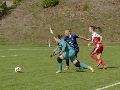 nebelberg-steyr_4-1_19-09-2026-013.jpg