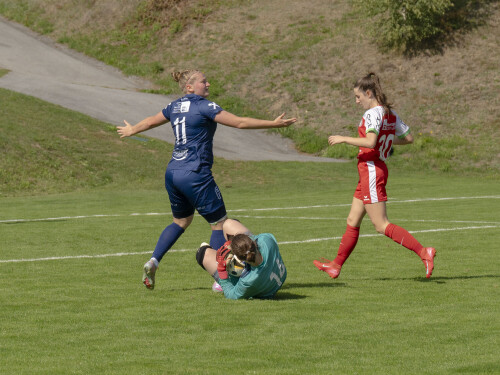nebelberg-steyr_4-1_19-09-2026-015.jpg